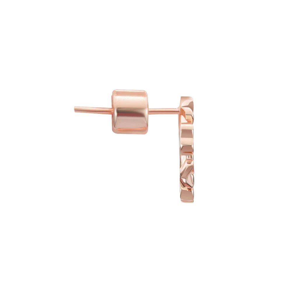Women Rose Gold Earring - Image 3