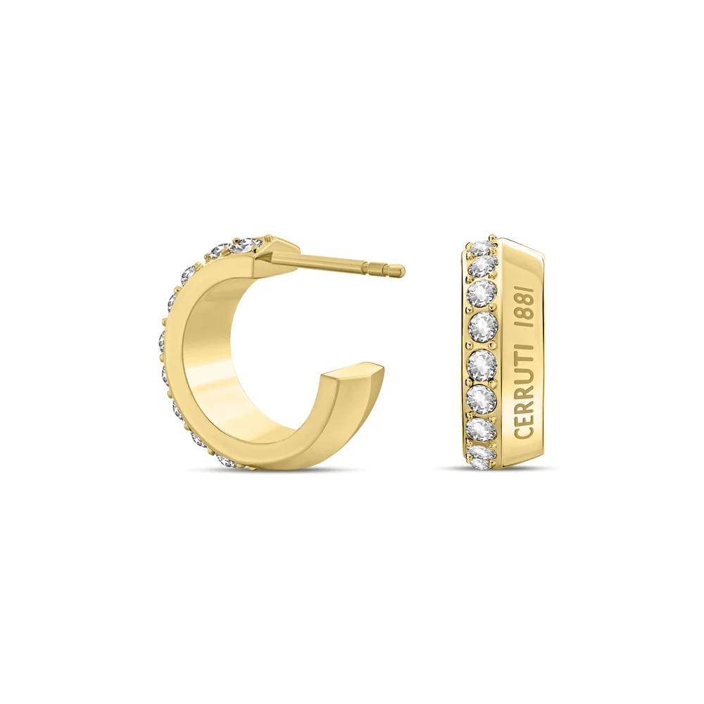 Women Gold-Plated Earrings - Image 4