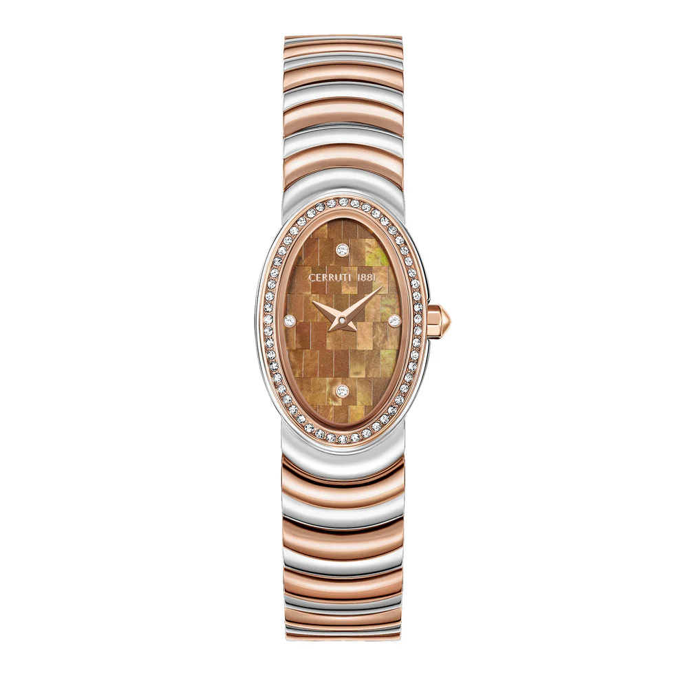 Women Norcia Brown Watch