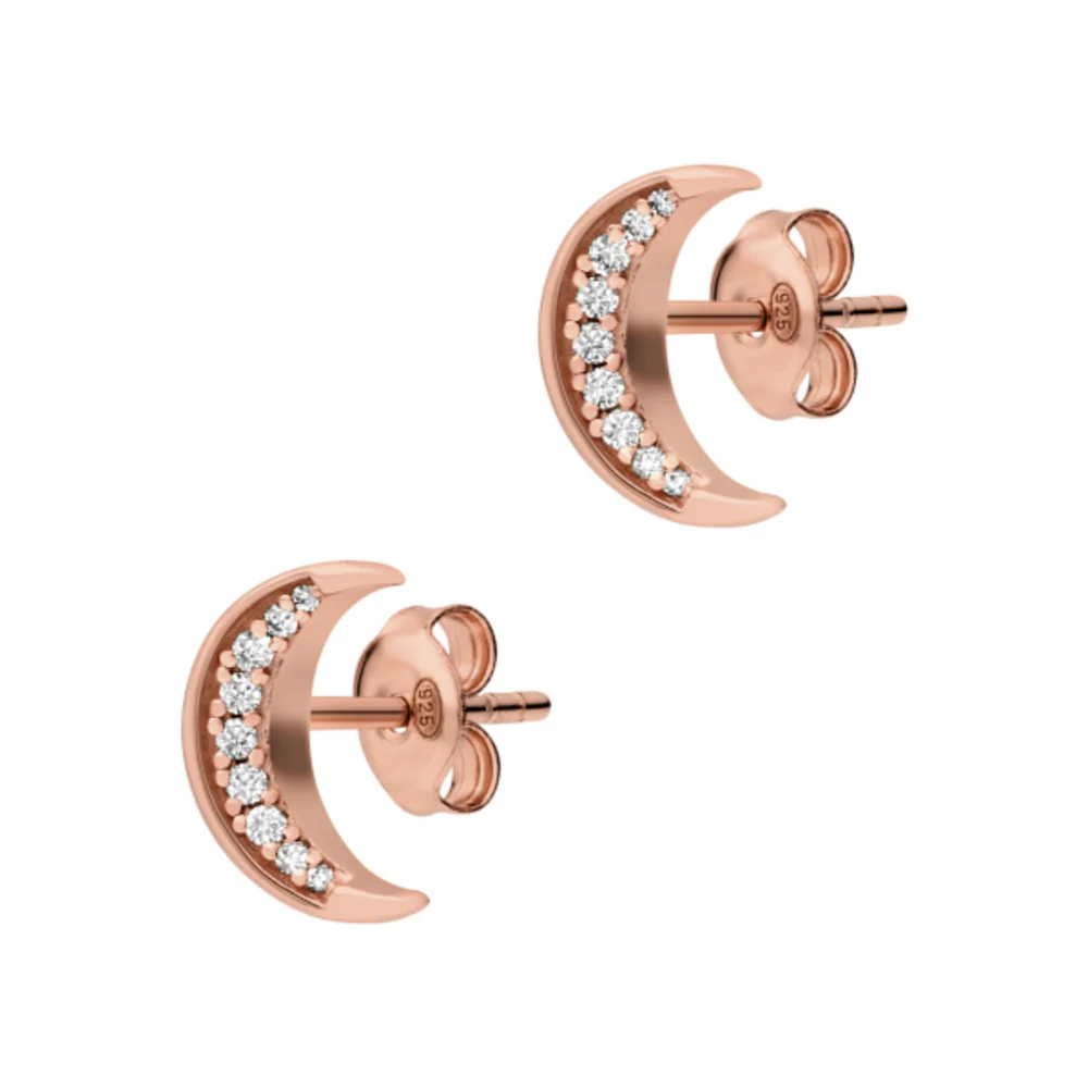 Women Rose Gold Earrings - Image 2