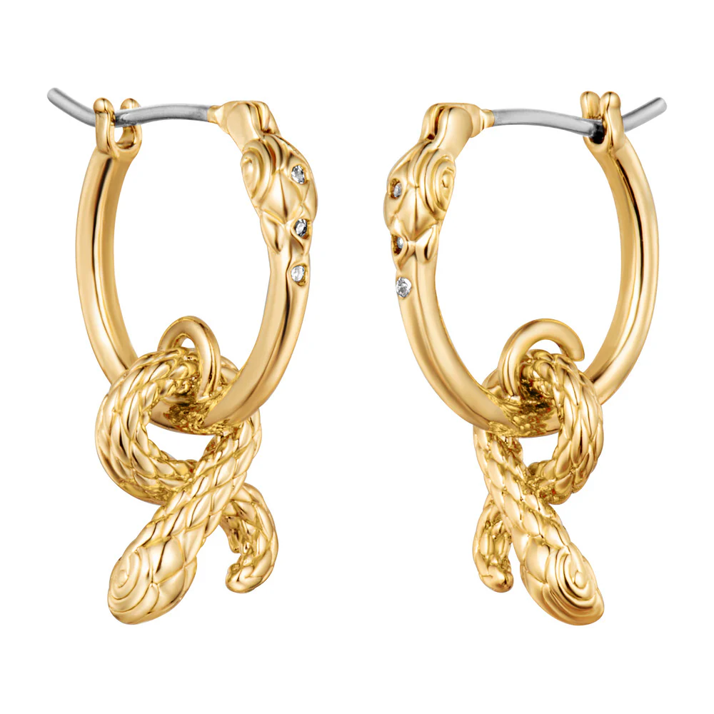 Women Earring