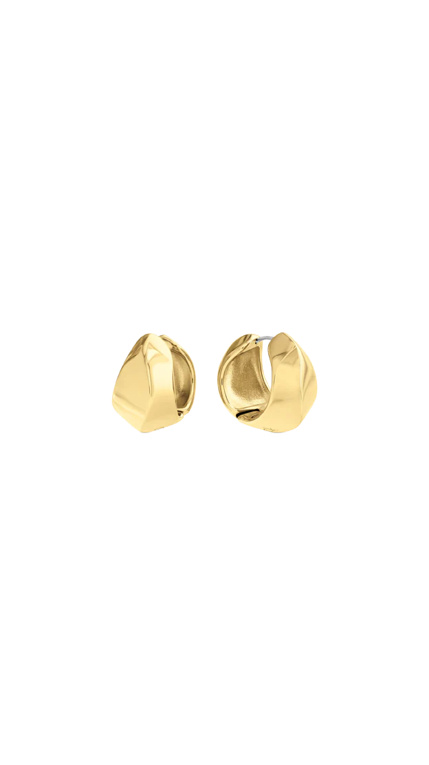 Women Sculpted Earring - Image 5